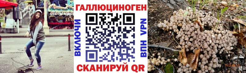 Псилоцибиновые грибы Psilocybe это клад Чита купить закладку
